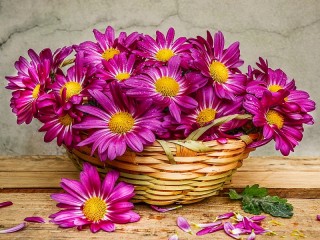 Rompecabezas «Chrysanthemums in a basket»